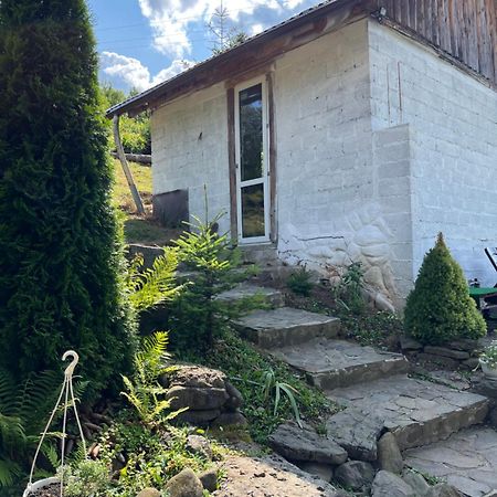 Zelenyj Raj Villa Pashkivtsi  Exterior foto