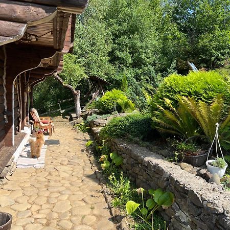 Zelenyj Raj Villa Pashkivtsi  Exterior foto