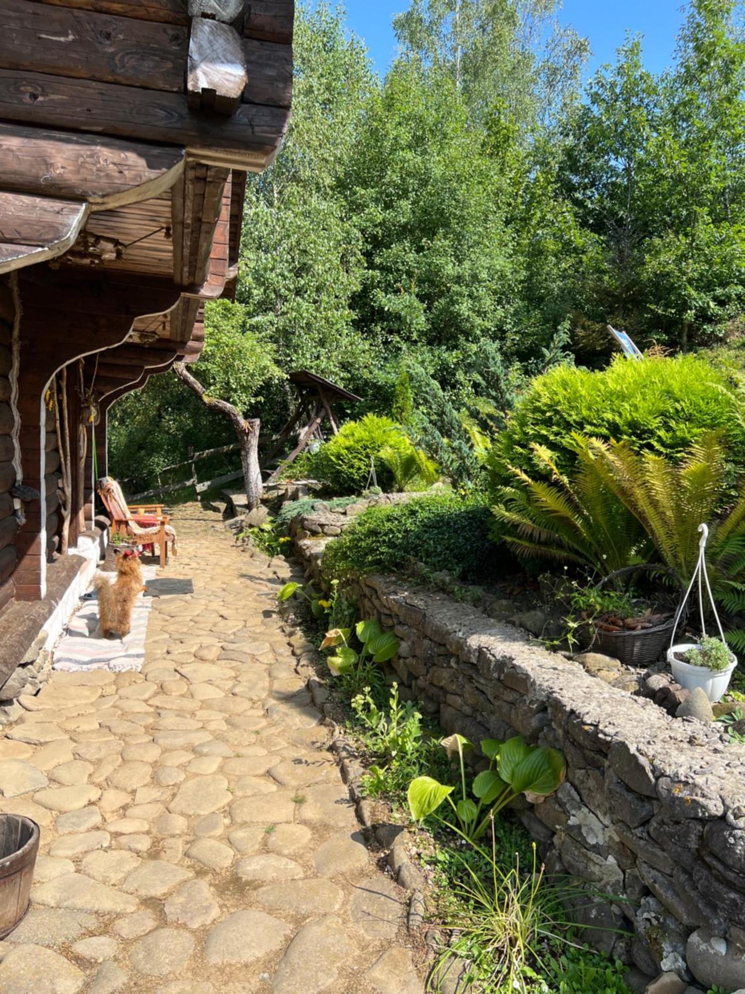 Zelenyj Raj Villa Pashkivtsi  Exterior foto